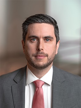 Portrait of Daniel Rogers