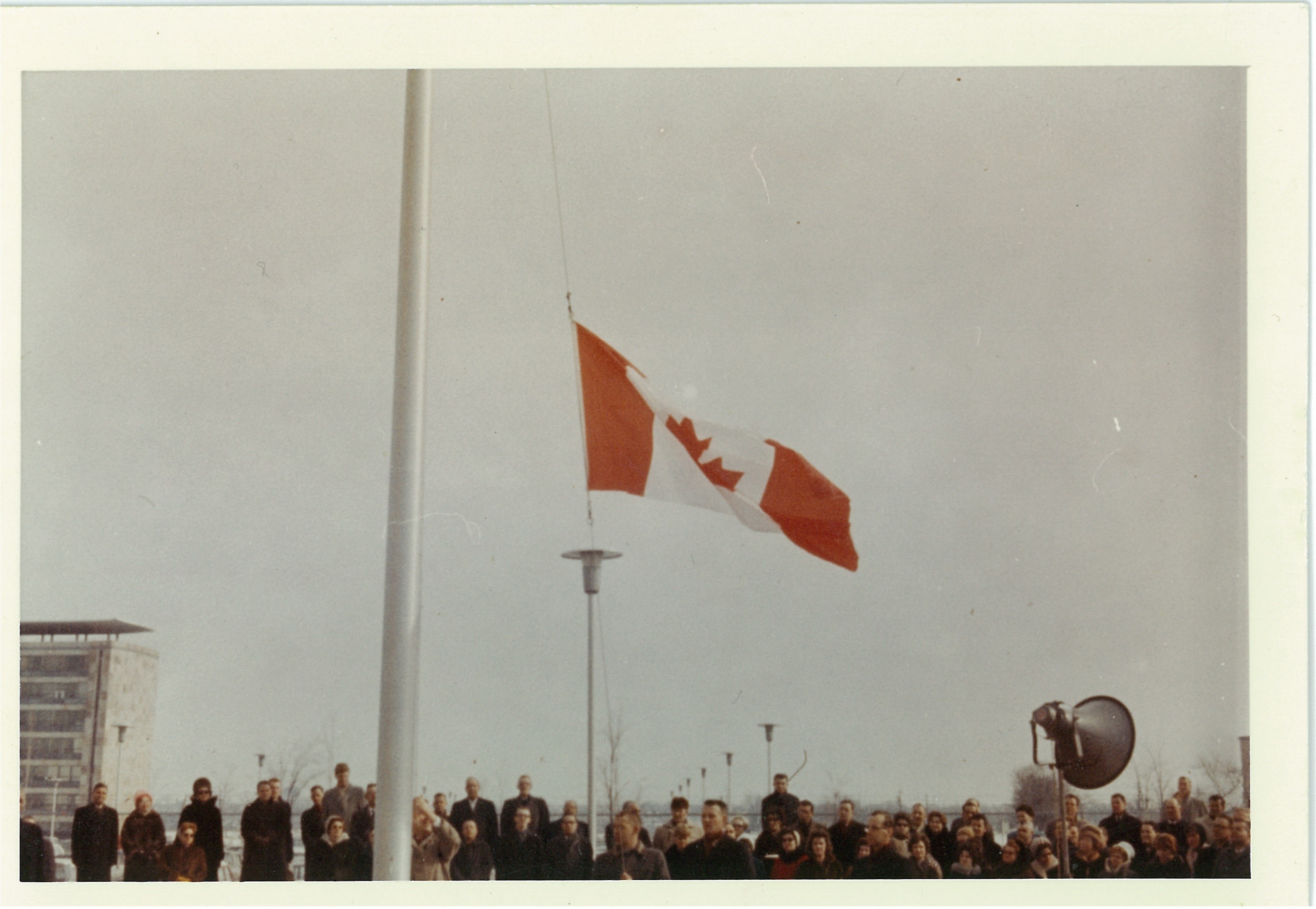 Drapeau, de, floride, dissimulé, porter, arme à feu, sceau floride