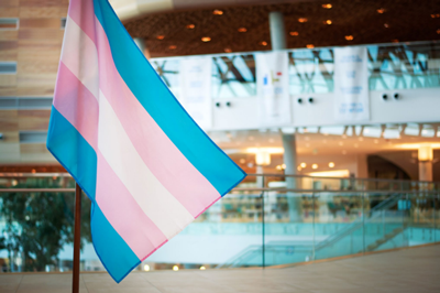 Transgender flag inside EDB