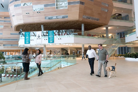 EDB inside mezzanine