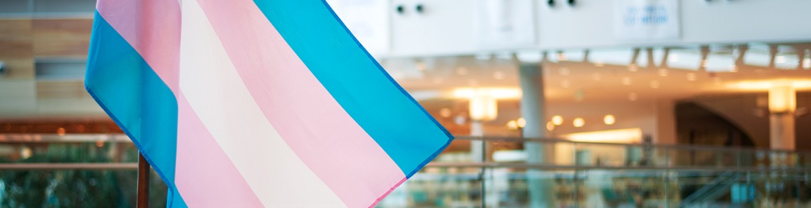 Transgender flag in the atrium of the Edward Drake Building.