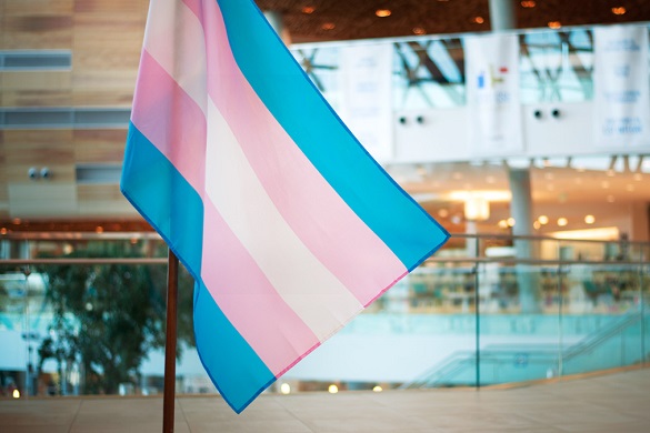 Transgender flag inside EDB